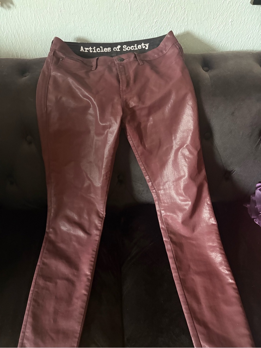 Articles of Society Faux Leather Skinny Pants in Wine